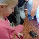 phoca_thumb_m_elva 9 Fotogalerie
